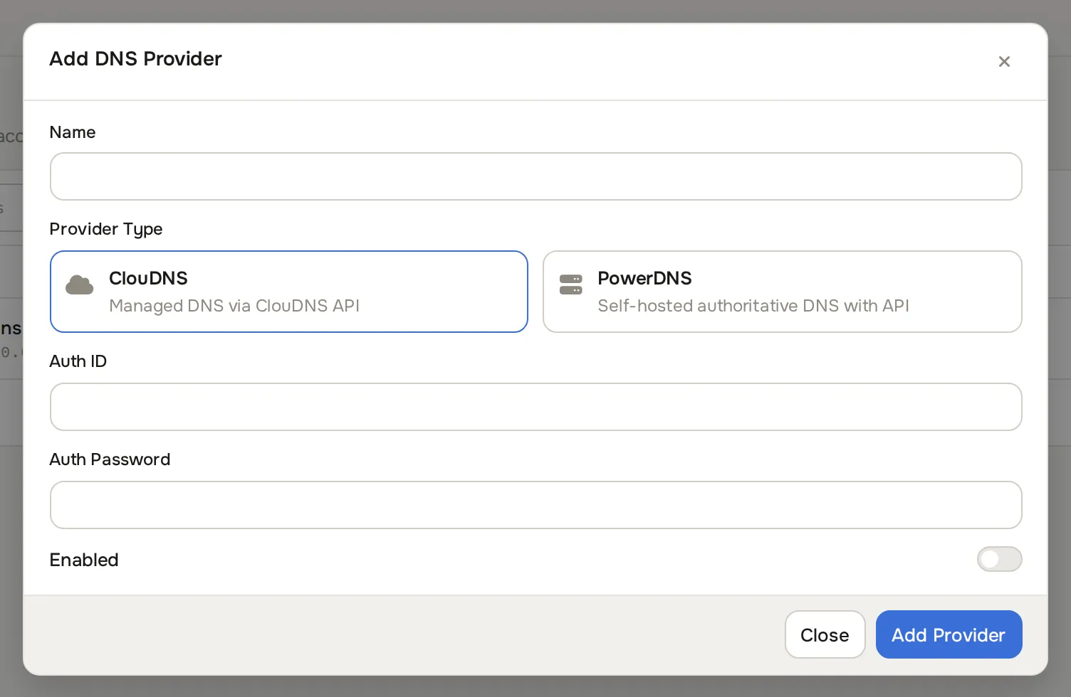 Add DNS Provider dialog